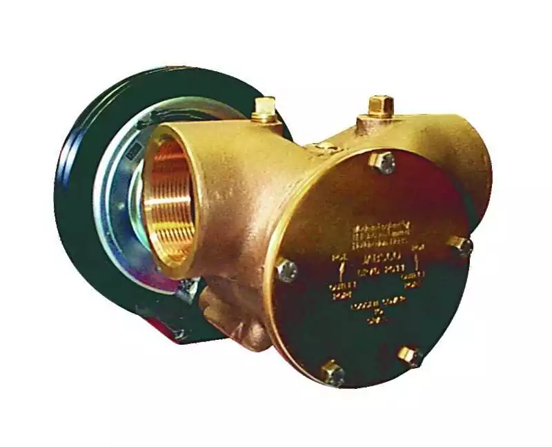 Pompe à embrayage électromagnétique débit 16 200 L/h 12V 5A sortie 2'' 