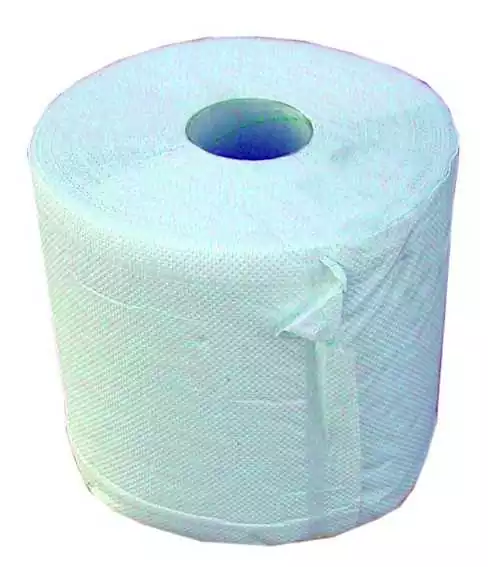 Papiers essuie-tout et mains Feuille 24 x 36 cm Vendu par 2 rouleaux
