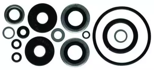 Kit joints d'embase Johnson Evinrude 8 à 15cv 2T et 4T 396350