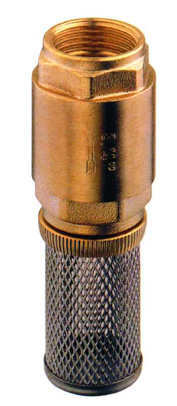 Clapet anti-retour laiton avec filtre inox 1"1/4 pouces 33 x 42mm clapet téflon