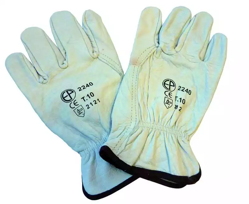 Paire de gants de maîtrise buffle taille L