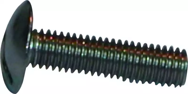 Boite de 25 vis métaux tete Poêlier diamètre 5mm Longueur 20mm