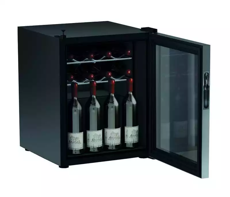 Cave à vins 12 Bouteilles Capacité 46 Litres 12/24V