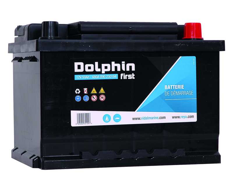 Batterie Dolphin First 12V 50A dimensions 207 x 175 x 175mm