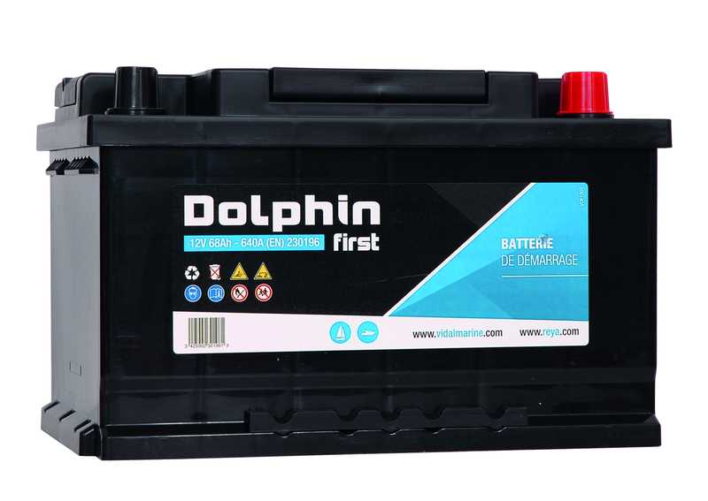 Batterie Dolphin First 12V 110A dimensions 349 x 175 x 235mm