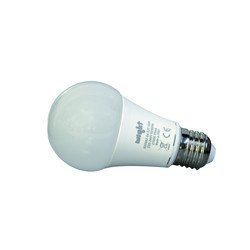 Ampoule LED Globo LED E27 10W 230V
