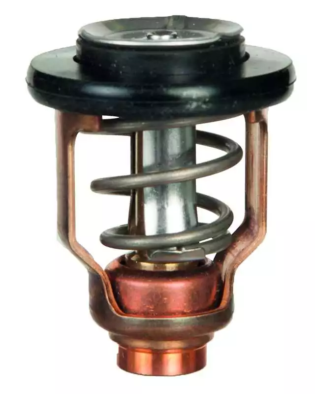 Thermostat pour moteurs Yamaha F75 à F250 Suzuki DF70 à DF300 67F-12411-01