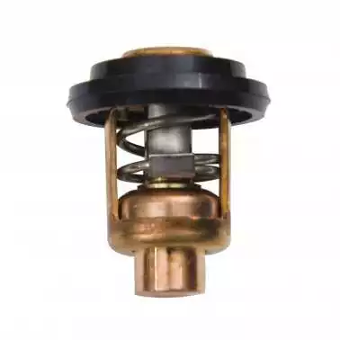 Thermostat 60°C Yamaha 6FP-12411-00 F75B F80D F90B VF90A F100F