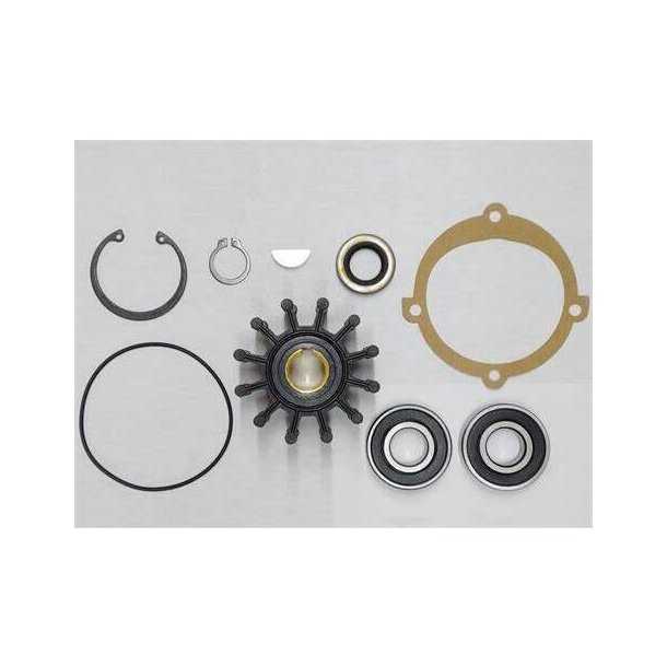 Kit majeur de réparation pompe P105 P109 