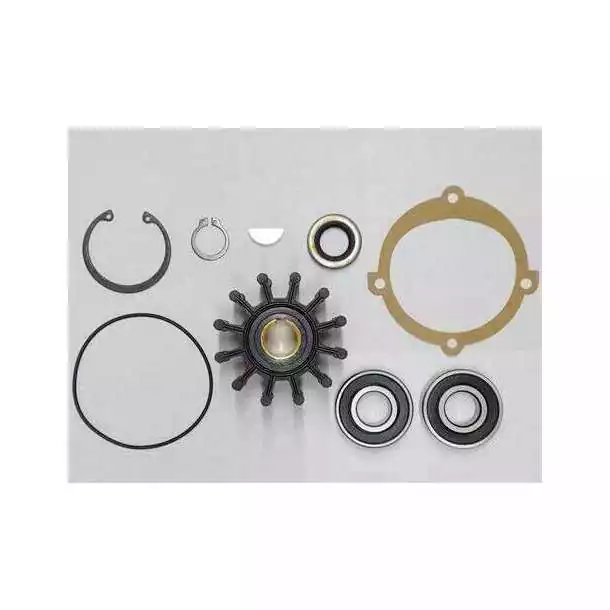 Kit majeur de réparation pompe P105 P109 