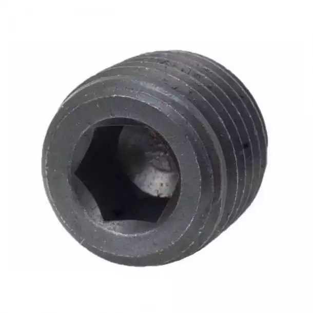 Bouchons Acier 1/4" NPT SIE18-4257