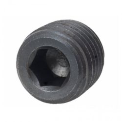 Bouchons Acier 1/4" NPT SIE18-4257