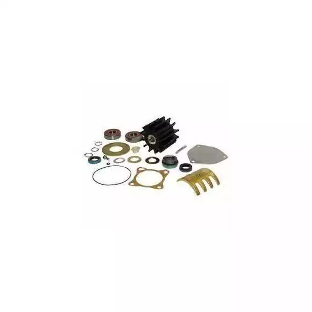 Kit majeur de réparation pompe 17000 modèle P1712, P1716A/B, P173, P1722A/B, P1727FB, P1730F P1731F, P1711, P1719, P1719F