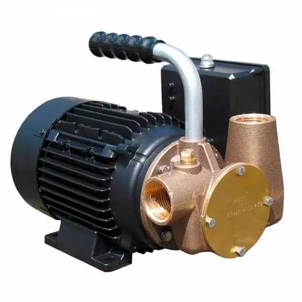 Pompe transfert tout liquide débit 35 L/min Diamètre 25mm 220 V 50 Hz Pompe transfert tout liquide débit 35 L/min Diamètre 25mm 220 V 50 Hz