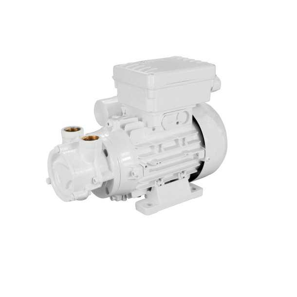 Pompe de cale incendie EDM et transfert diesel A60 24V 0,18 Kw Débit 19L/min