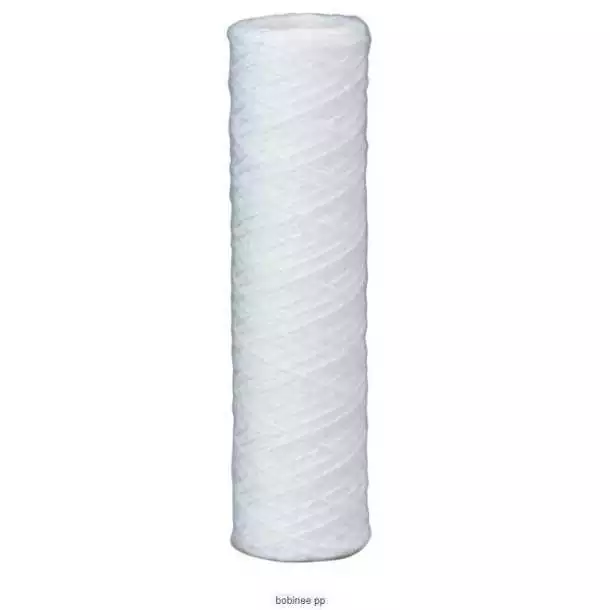 Cartouches bobinées 5'' 25µm vendu par 2