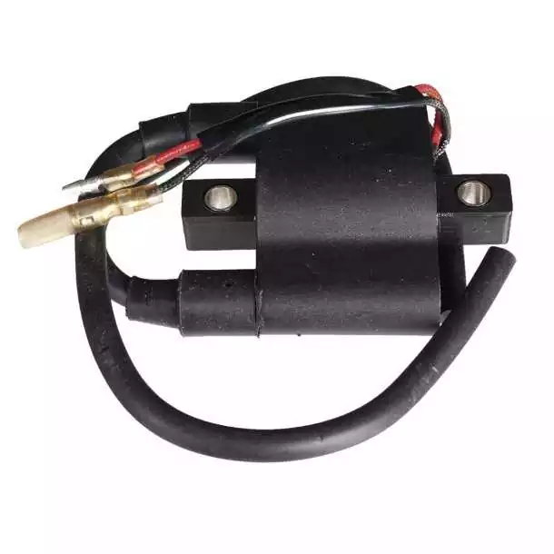 Bobine d'allumage pour moteurs Suzuki Modèle 9,9 - 40cv