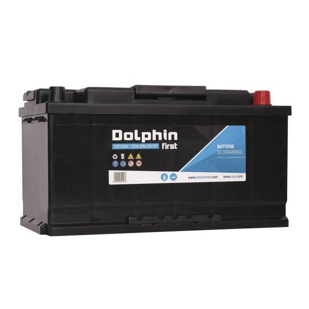 Batterie Dolphin First 12V 95A dimensions 353 x 175 x 190mm