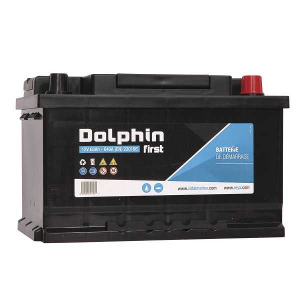 Batterie Dolphin First 12V 70A dimensions 278 x 175 x 175mm