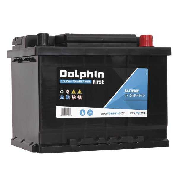 Batterie Dolphin First 12V 60A dimensions 242 x 175 x 175mm