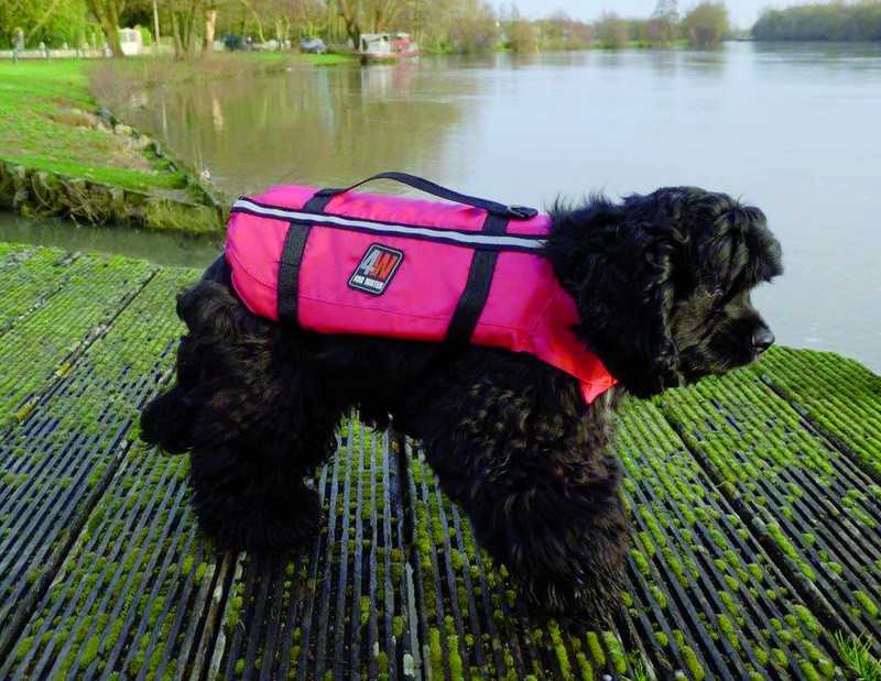 Gilet de sauvetage pour chien moyen gilet chien Medium