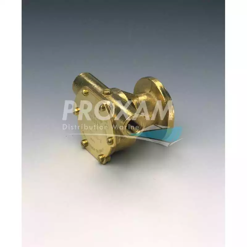 Pompe de refroidissement NANNI SPX TYPE F4B-9 origine 970307808