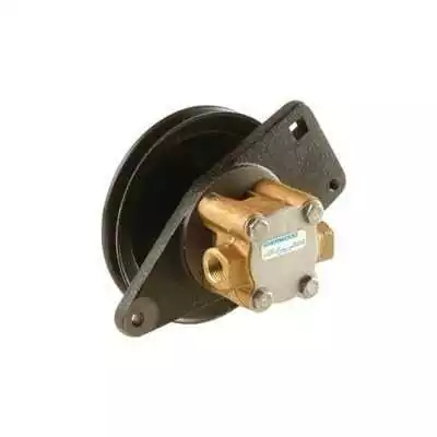 Pompe de refroidissement Sherwood ONAN origine 132-0395 132-0430
