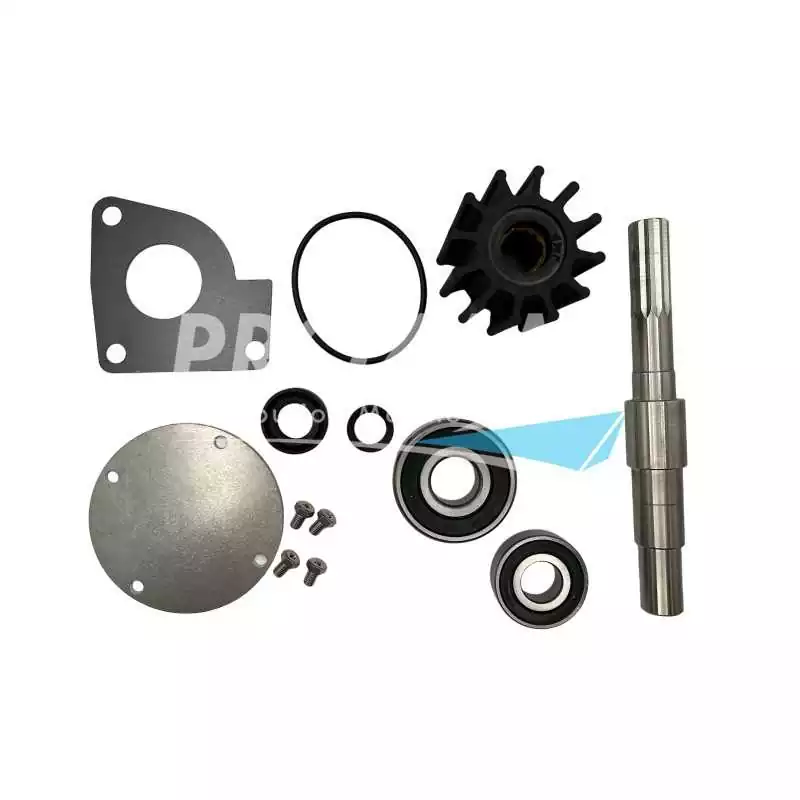 Kit majeur pour pompe JPR-VP0030DA
