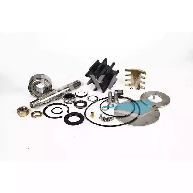 Kit majeur pour pompe JPR-VP0110DA