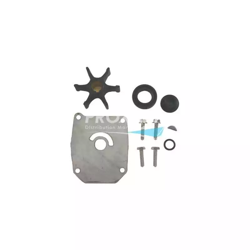 Kit pompe à eau moteurs 50cv 55cv 1971/78 Johnson Evinrude origine 384956