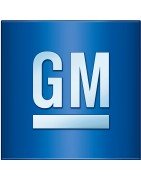 Detroit GM